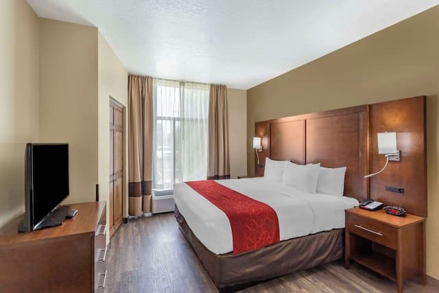 Suite, 1 King Bed with Sofa bed, Non Smoking