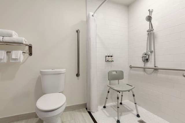 Standard Room, 1 King Bed, Roll-in Shower (Roll-In Shower)