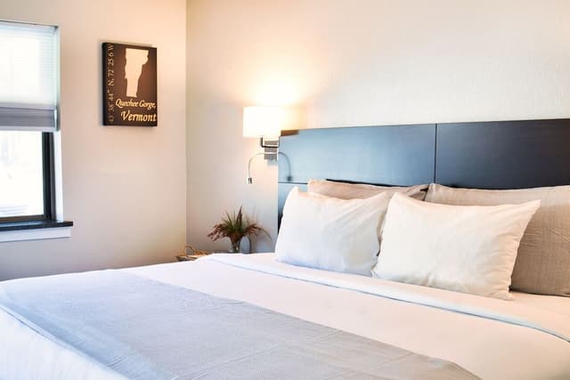 Signature Single Room, 1 King Bed