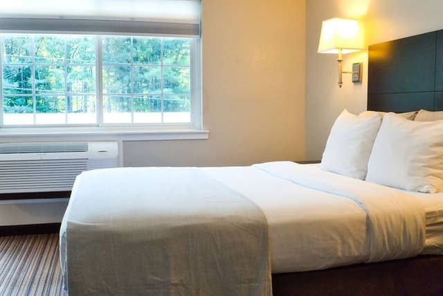 Classic Single Room