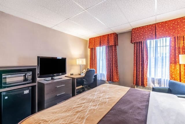 Standard Room, 1 King Bed, Non Smoking (Courtyard)