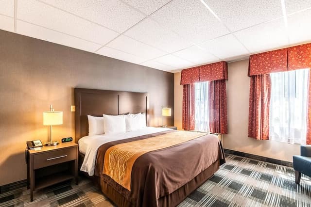 Standard Room, 1 King Bed, Non Smoking (Courtyard)