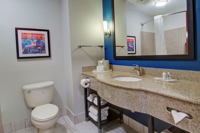 Suite, 1 King Bed, Non Smoking, Microwave