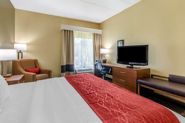 Room, 1 King Bed, Accessible, Non Smoking