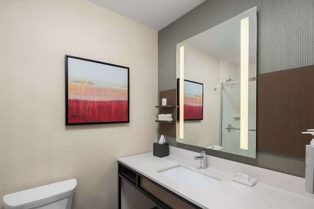 Room, 1 King Bed