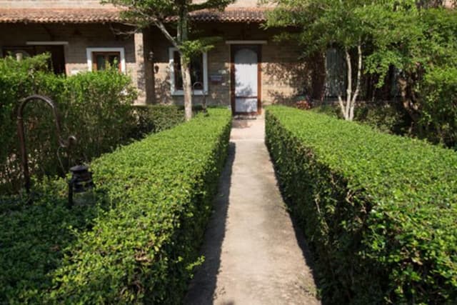 Garden Suite