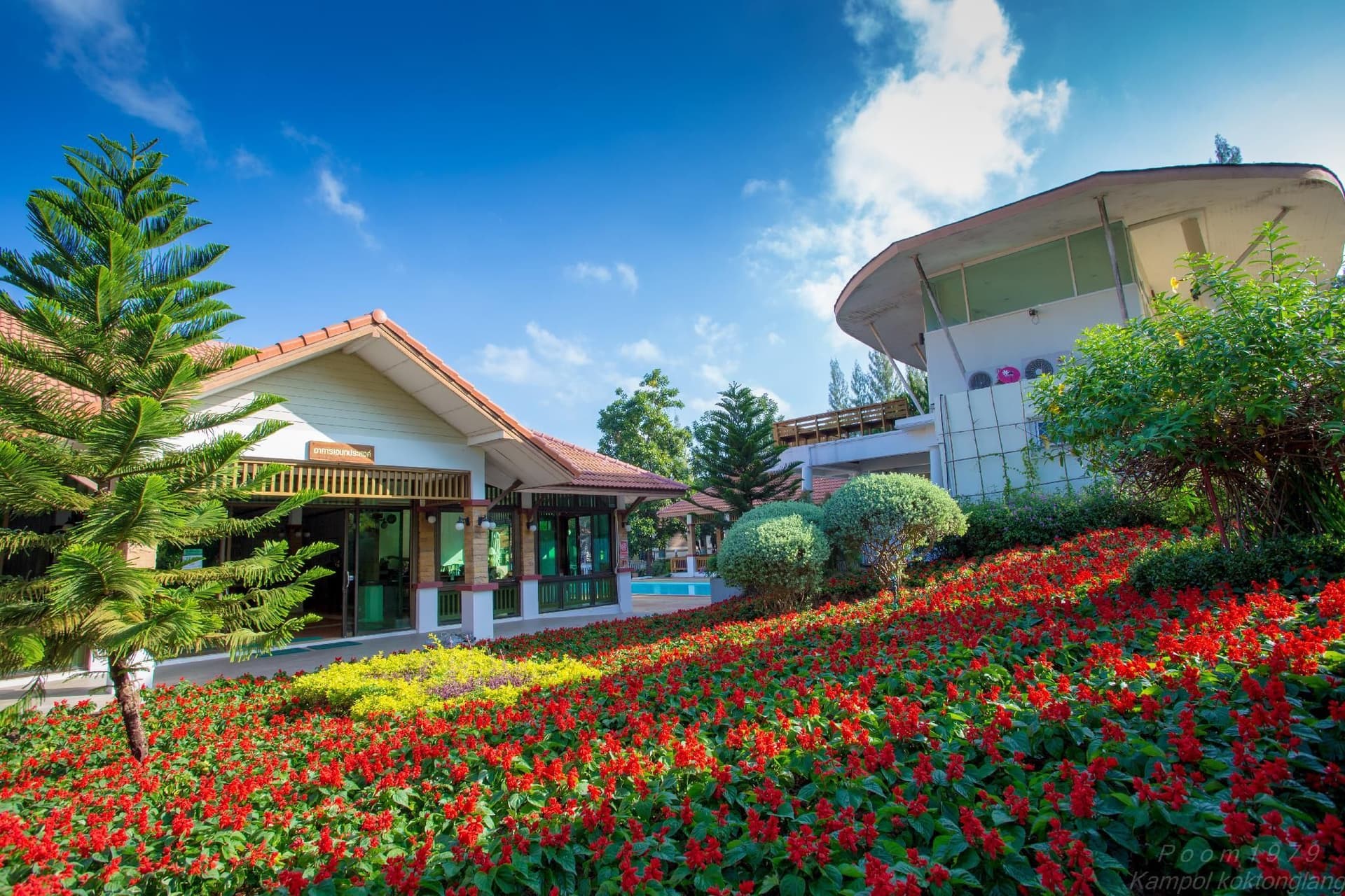 ทองสถิตย์ ฮิลล์ รีสอร์ต เขาใหญ่ ทองสถิตย์ ฮิลล์ รีสอร์ต เขาใหญ่