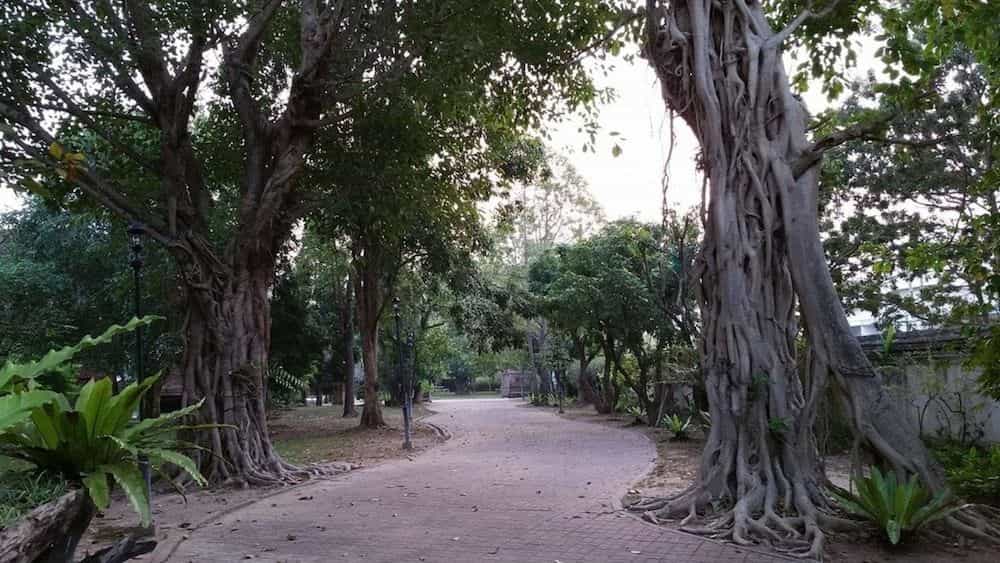 Boontarn Sanctuary Chiang Mai Boontarn Sanctuary Chiang Mai