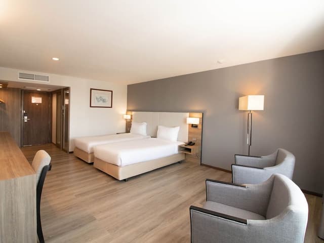 Superior Twin Room with City View