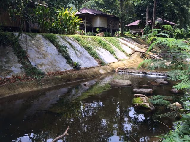 Delux Double Room with River View