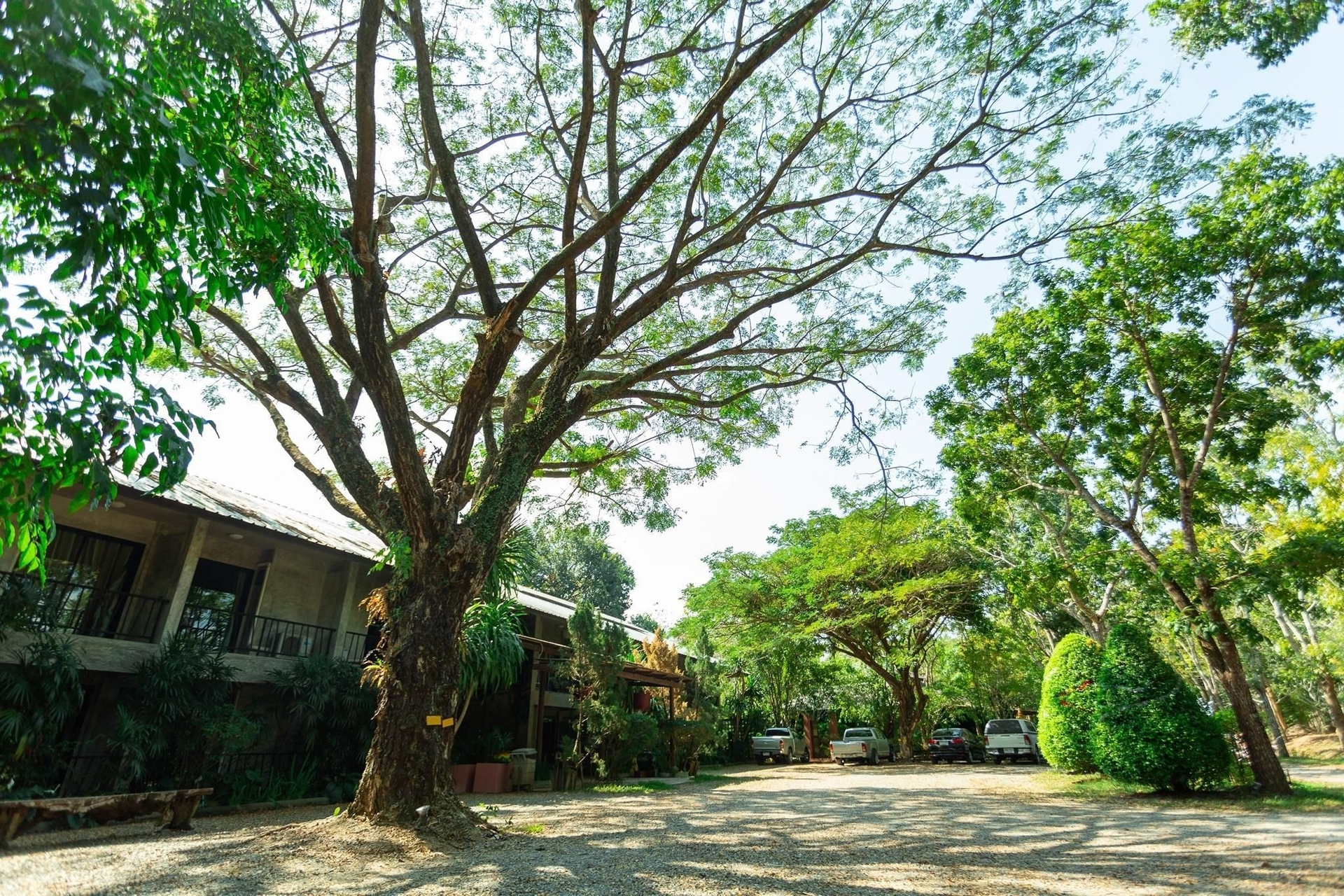 บ้านสวนรมิตา รีสอร์ท (Baansuanramita Resort)4