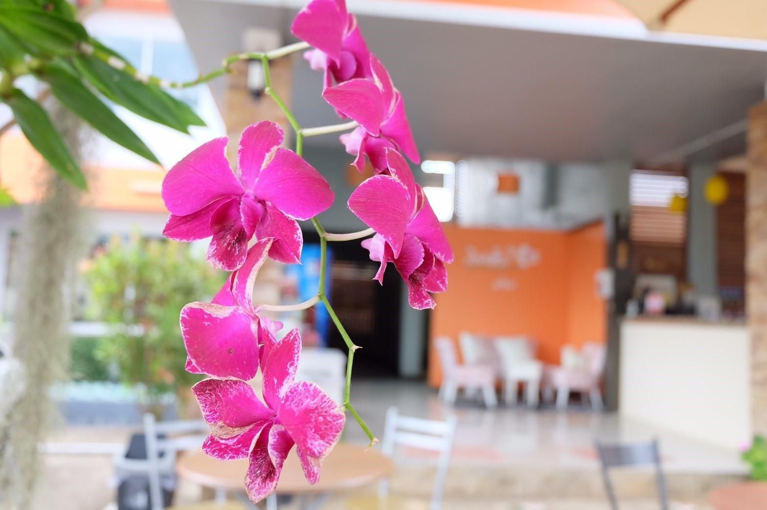 โรงแรมวินเฮาส์ (Winhouse Hotel)1