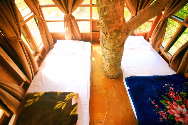 Tree House (Fan, Share bathroom)