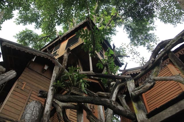 Tree House (Fan, Share bathroom)