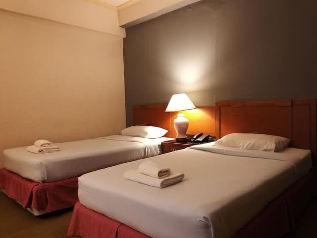 Deluxe Twin Room