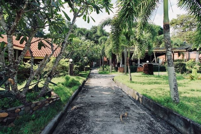 Deluxe Garden Bungalow