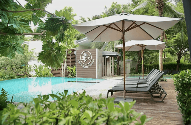 Building Terrace Pool View (Lower Floor)