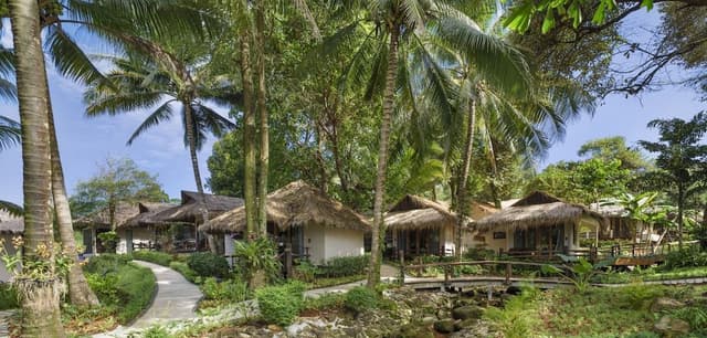 The Natural Cottage