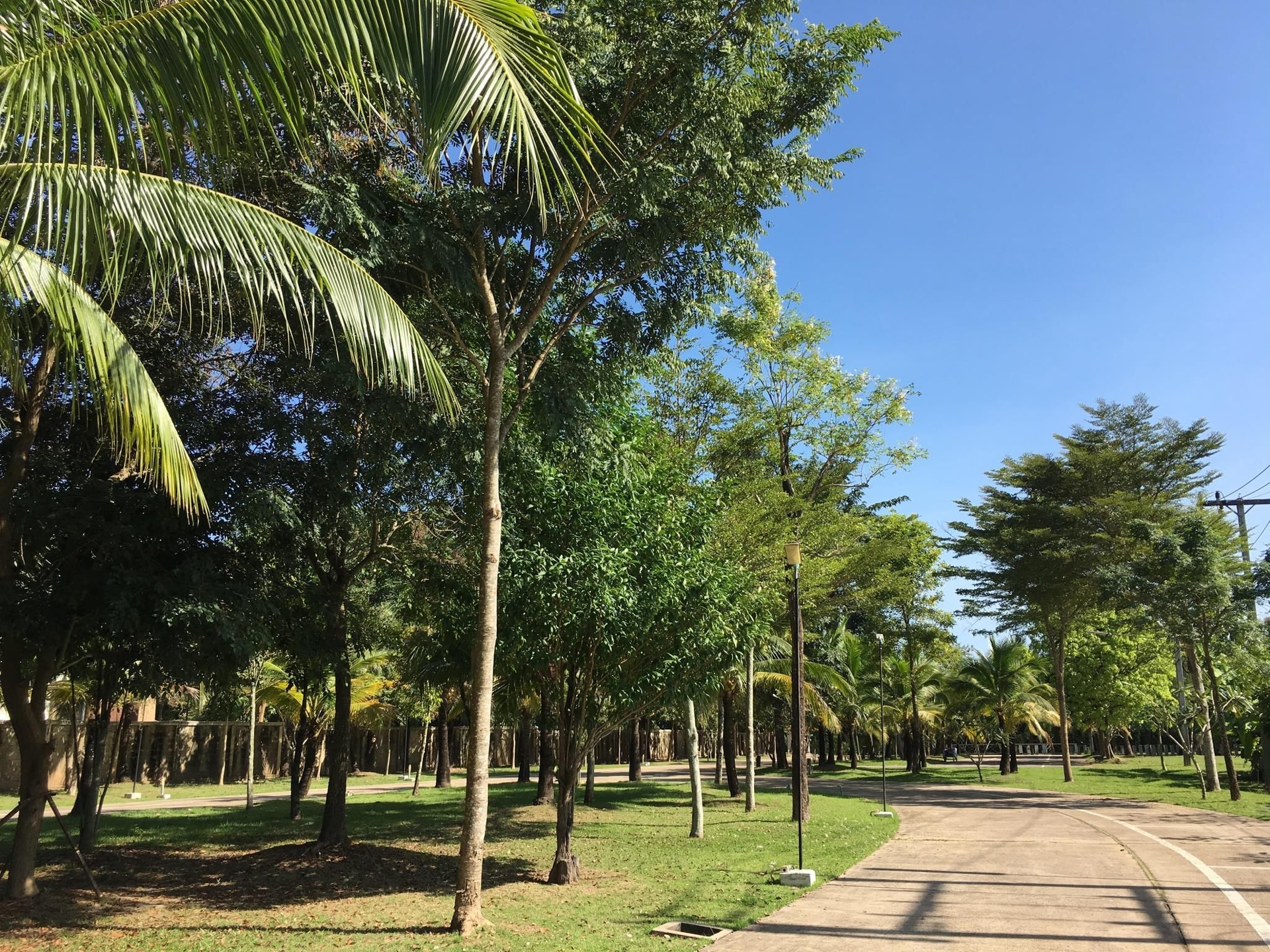 VANA Wellness Resort Nongkhai2