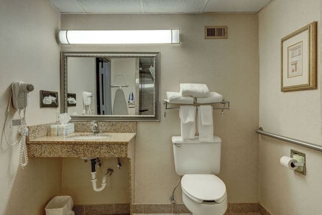 Accessible, 1 King Bed Room