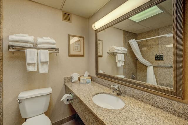 Suite, 1 Bedroom