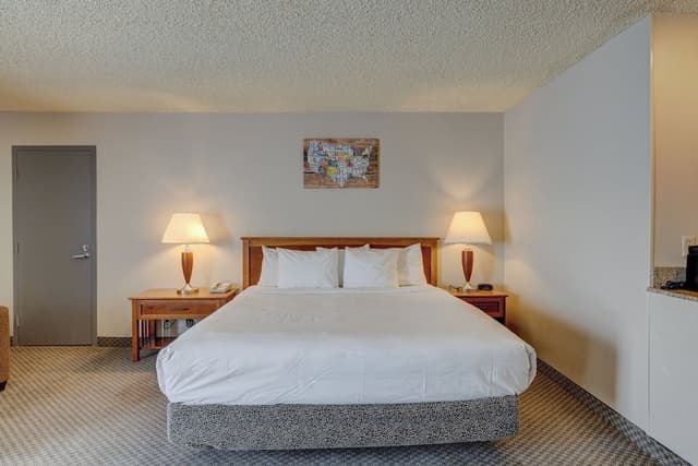 Suite, 1 Bedroom