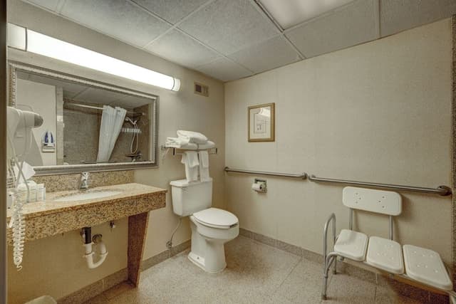 Accessible, 1 King Bed Room