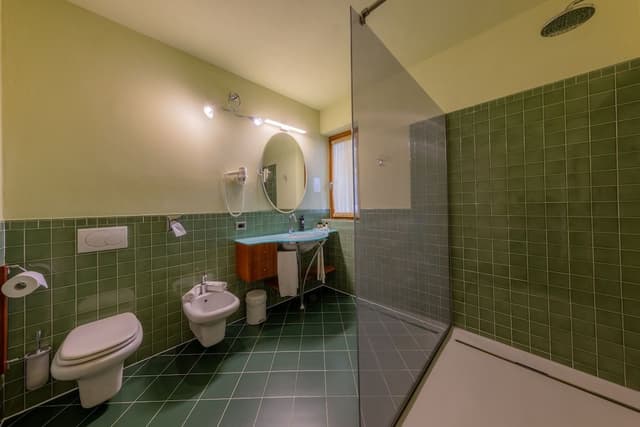 Double Room, Balcony, Lake View (.)