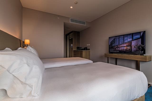 Deluxe Twin Harbour View Room
