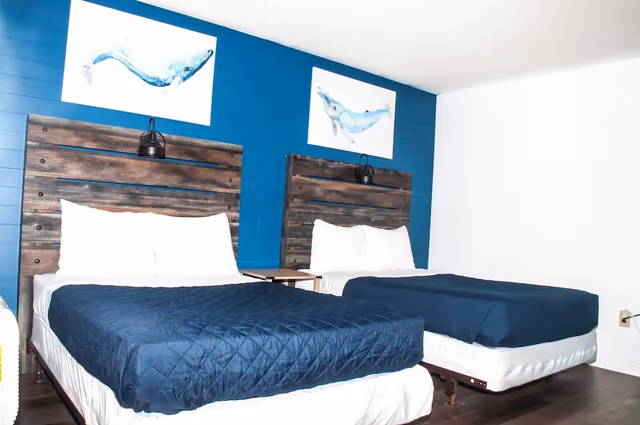 Standard Room, 2 Double Beds