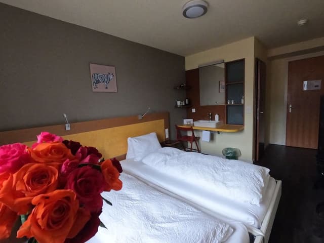 Classic Double or Twin Room, Balcony, Mountain View