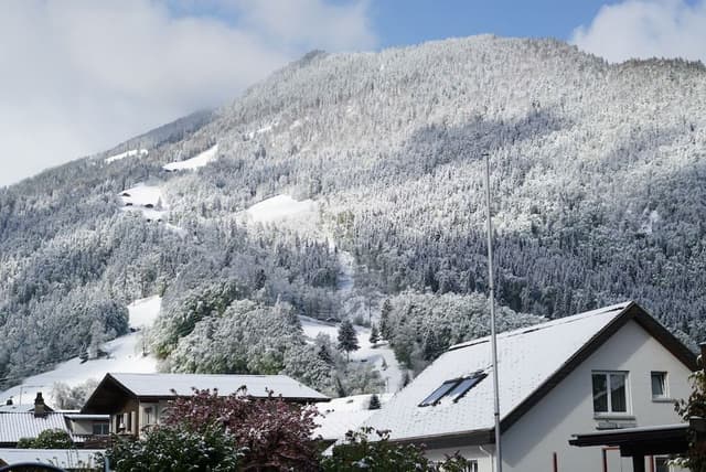 Family Quadruple Room, Multiple Beds, Mountain View