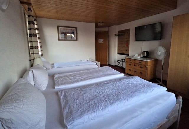 Classic Triple Room, Multiple Beds, Private Bathroom, Mountain View