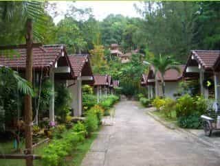 The Delight Pine Tree Village The Delight Pine Tree Village