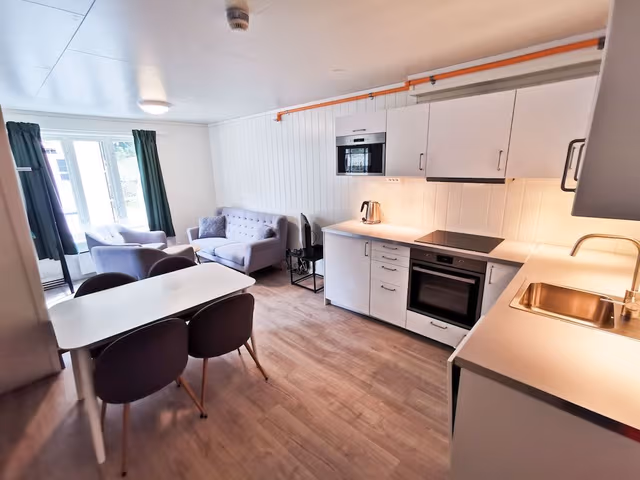 Comfort Apartment, 3 Bedrooms