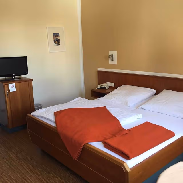 Standard Double Room (Single Use)
