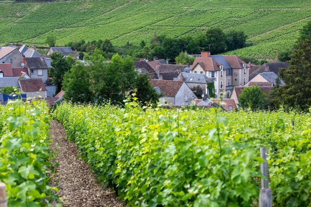 La Cote des Monts Damnes0