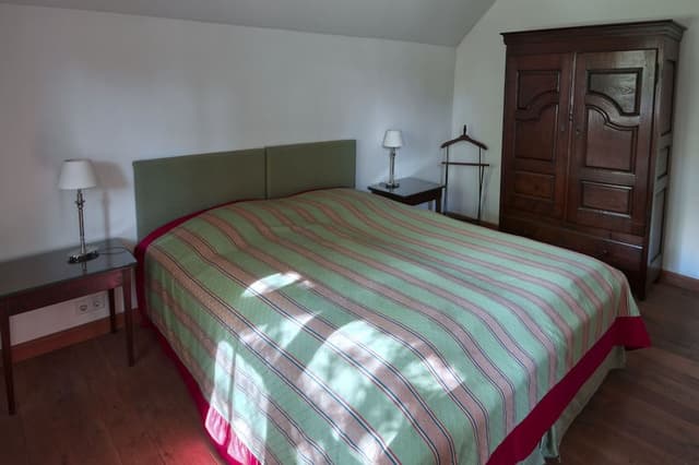 Traditional Apartment