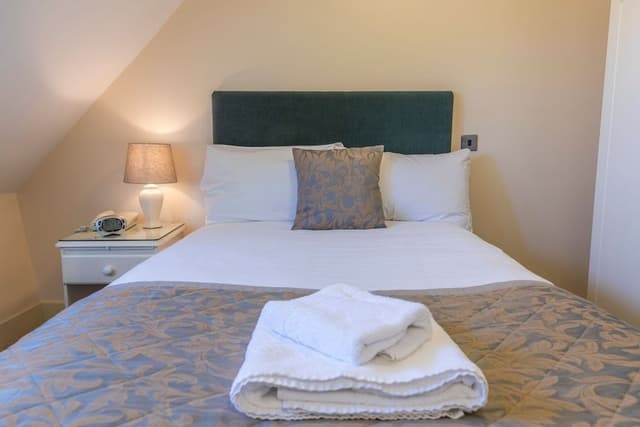 Luxury Single Room (Small Double Bed)