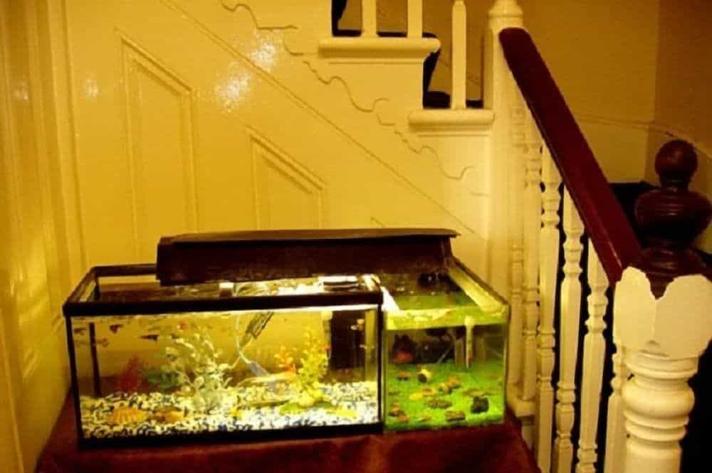 Chiswick Court Hotel - B&B Chiswick Court Hotel - B&B