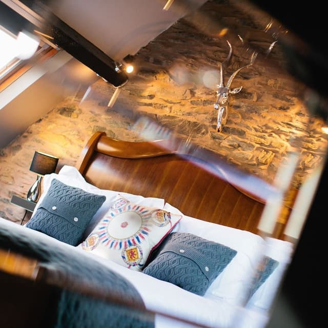 Suite (9)