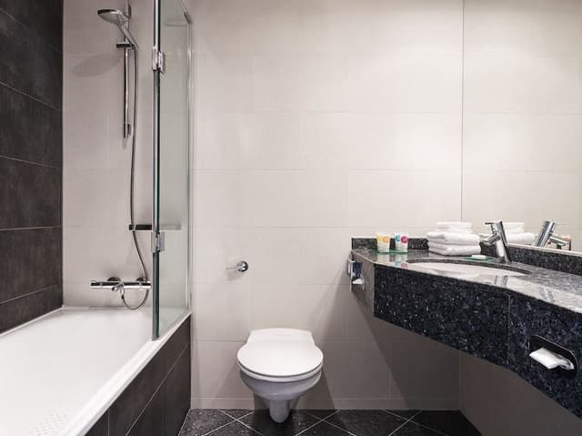 Room, 2 Twin Beds (Airport View)