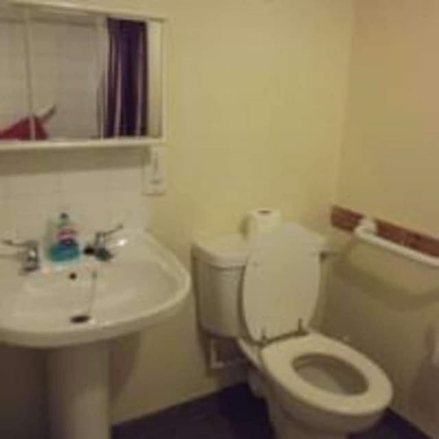 Family Room (X 3)