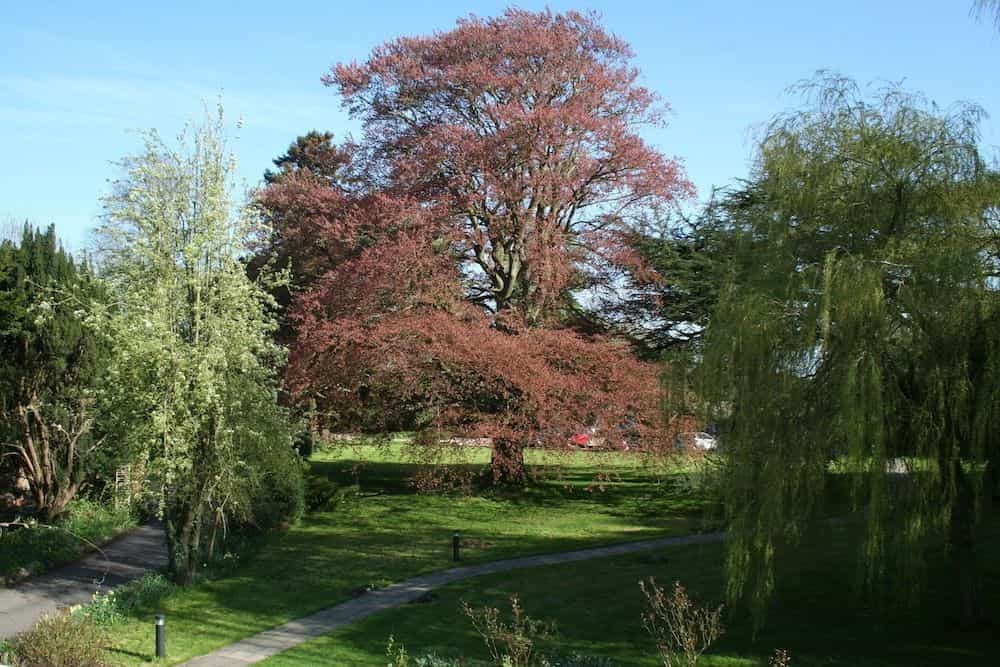 Chiseldon House Hotel Chiseldon House Hotel