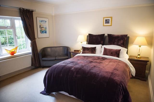 Deluxe Room, 1 King Bed