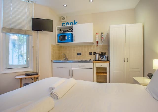 Apartment, Private Bathroom (Studio with Kitchenette)