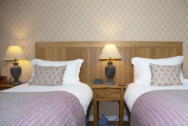 Double or Twin Room (Room 1)