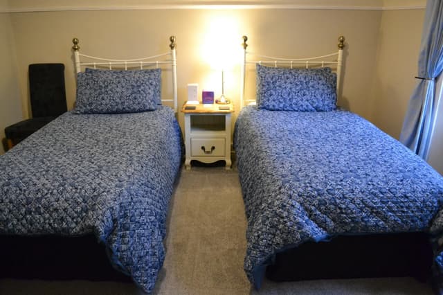 Twin room-Standard-Ensuite with Shower-Blue Room