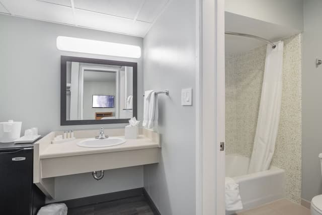 Standard Room, 1 King Bed