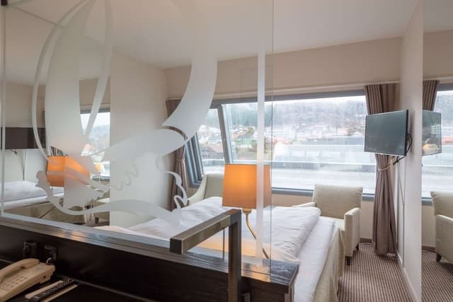 Room, 1 King Bed